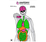 Image of Action Target Anatomy Training Target