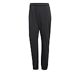 Image of Adidas Terrex Lite Flex Pant - Women's