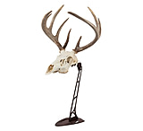 Image of Allen EZ Mount Centerpiece Skull Stand