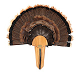 Image of Allen EZ Mount Exhibition Turkey Tail Mounting Kit w/Holds Tail Fan and Beard