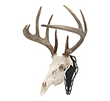 Image of Allen EZ Mount Silhouette Skull Peg