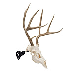 Image of Allen EZ Mount Steel Skull Stand