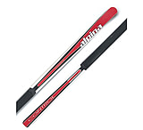 Image of Alpina Control 192 Skis