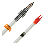 Image of AMS Fiberglass Arrow 414541