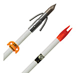 Image of AMS Fiberglass Arrow