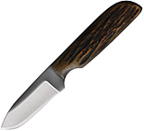 Image of Anza Amber Bone 2.63in Fixed Blade Knife