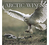 Image of Mountaineers Books: Arctic Wings