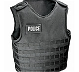 Image of Armor Express Ocs F 1inch Molle Webbing - Rng; Female