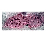 Image of Armor Forensics Snowprint Powder Ea