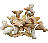 Image of Arrowhead Shark Tooth Fossils 0.5 Inch