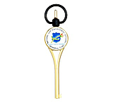 Image of ASP Gold G2 Handcuff Key