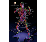 Image of ASP Training Posters 07A0F87D