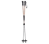Image of Atlas Elektra 2-Piece LockJaw Poles