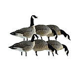 Image of Avian X AXP Lesser Fusion Decoy - Pack