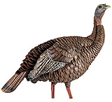 Image of Avian X HDR Hen Decoy