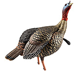 Image of Avian X HDR Jake Decoy