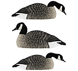 Image of Avian X Honker Shell Decoys