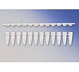 Image of Axygen Tube-cap Pcr 12strip.2ml Pk960 PCR-0212FCPC