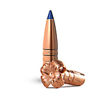 Image of Barnes Ammunition Barnes LRX Bullets 25cal .257 101gr PT 50/rd 577DABB4