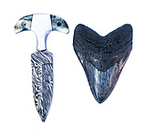 Image of Battling Blades Shark Tooth High Carbon Damascus Bone Handle Knife
