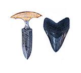 Image of Battling Blades Shark Tooth High Carbon Damascus Steel Outdoors Blade Knife