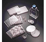 Image of Corning BioCoat Cellware, Collagen Type IV, 354545 3.0 um Inserts In Plates 24-Well