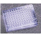 Image of Corning Falcon 96-Well Cell Culture Plates, 351177 Plates With Untreated Surface, Sterile