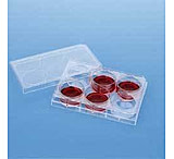 Image of Corning Falcon Cell Culture Companion Plates for Inserts, Sterile, 353503