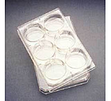 Image of Corning Falcon Multiwell Flat-Bottom Plates with Lids, Sterile, 353224