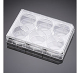 Image of BD Plate Multiwel W/LID 48WL CS50 351178