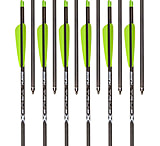 Image of Bear X Bolts