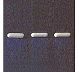 Image of Bel-Art Spinbar Micro Stir Bars 371195007