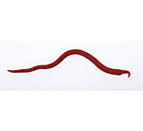 Image of Berkley Gulp! Saltwater Extruded Bloodworm Soft Bait