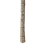 Image of Big Game Treestands Ascender Climbing System
