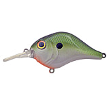 Image of Bill Lewis MR 6 Creature Bait