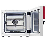Image of Binder Microbiology Incubators, BF Series, BINDER 9010-0240 Bf 240 Models