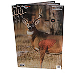 Image of Birchwood Casey Dirty Bird PreGame Animal Targets Deer 16.5x24 Inch 3 Per Package 35401