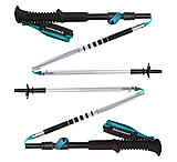 Image of Black Diamond Distance FLZ Trekking Poles - Women's