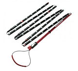 Image of Black Diamond Quickdraw Probe Tour