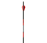Image of Black Eagle Arrows Carnivore Arrows