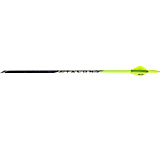 Image of Black Eagle Arrows Talon Crested Arrows