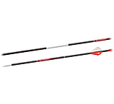 Image of BloodSport Evidence Arrow