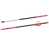 Image of BloodSport Prosecutor Arrows