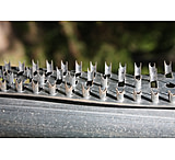 Image of Boss Buck Shark Teeth