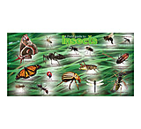 Image of Bottle Wrap Nature Guides 