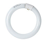 Image of Bulbtronics Bulb Fluorescent 8.25IN 22W 0009028