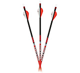 Image of Carbon Express Maxima RED Arrow - Each