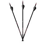 Image of Carbon Express Express Maxima Sable RZ Arrows .350 EA