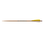 Image of Carbon Express Heritage Arrows