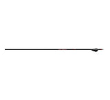 Image of Carbon Express Maxima Sable RZ Arrows 1004099